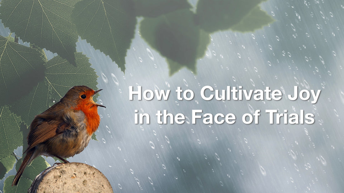 How to Cultivate Joy in the Face of Trials