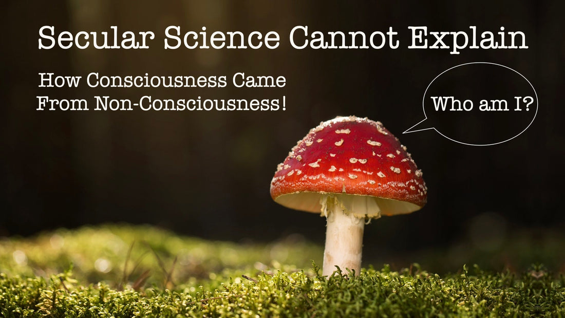 Secular Science Cannot Explain How Consciousness Came From Non-Consciousness