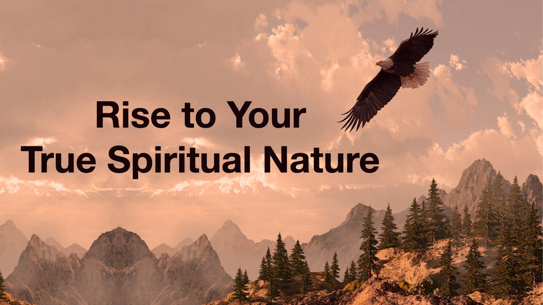 Rise to Your True Spiritual Nature