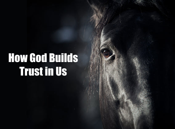 How God Builds Trust in Us