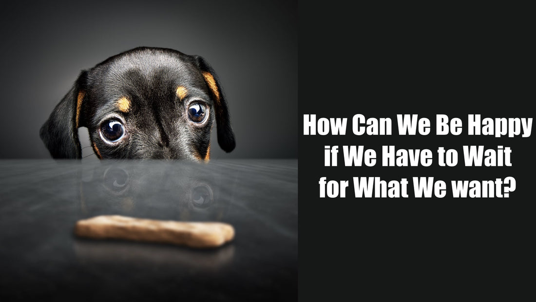 How Can We Be Happy If We Have to Wait for What We Want?