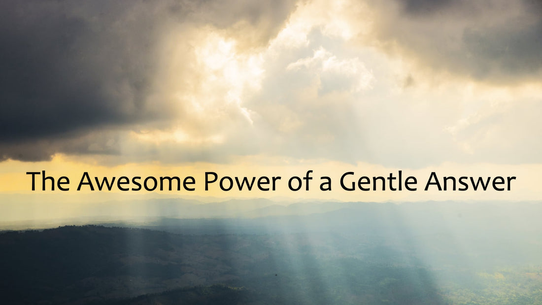The Awesome Power of a Gentle Answer
