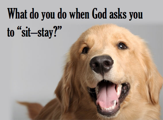 What do you do when God asks you to “sit – stay?!?”