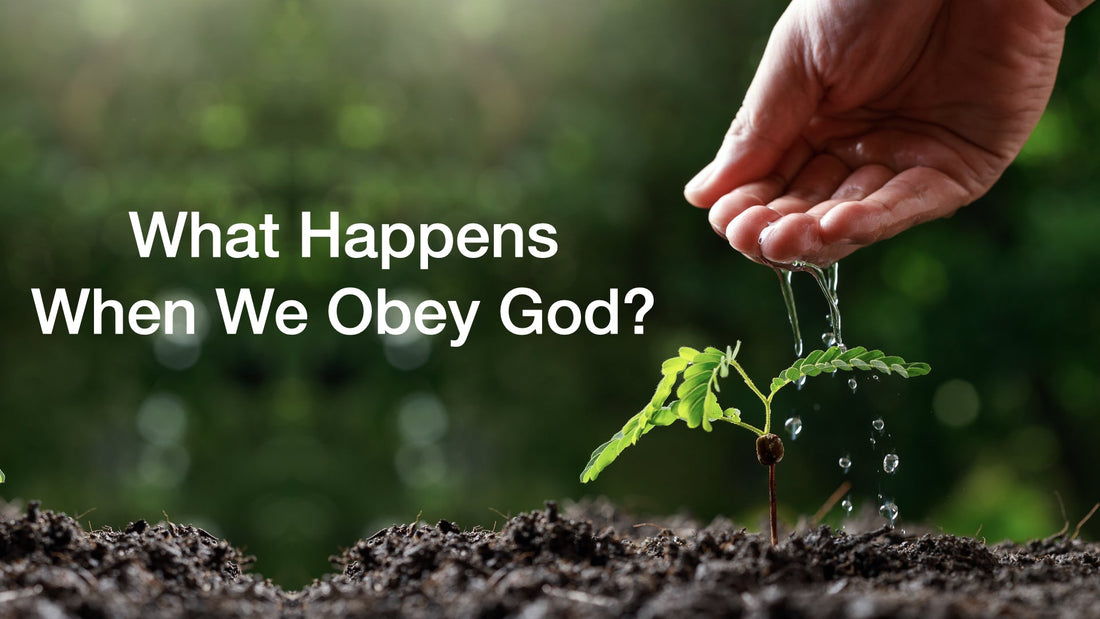 What Happens When We Obey God?