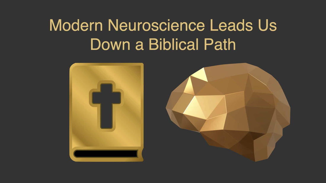 Modern Neuroscience Leads Us Down a Biblical Path