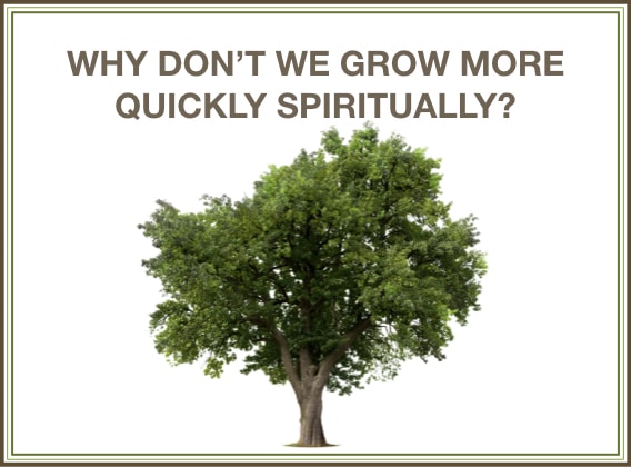 Why Don’t We Grow More Quickly Spiritually?