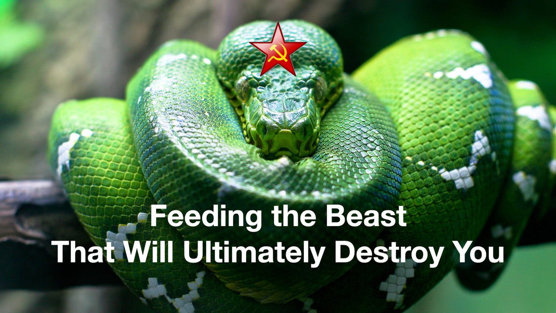 Feeding the Beast That Will Ultimately Destroy You