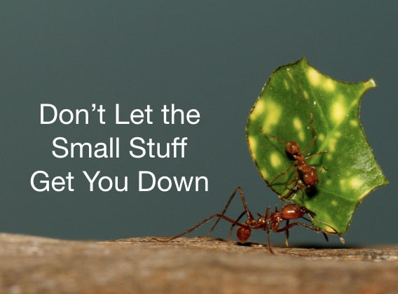 Don’t Let the Small Stuff Get You Down