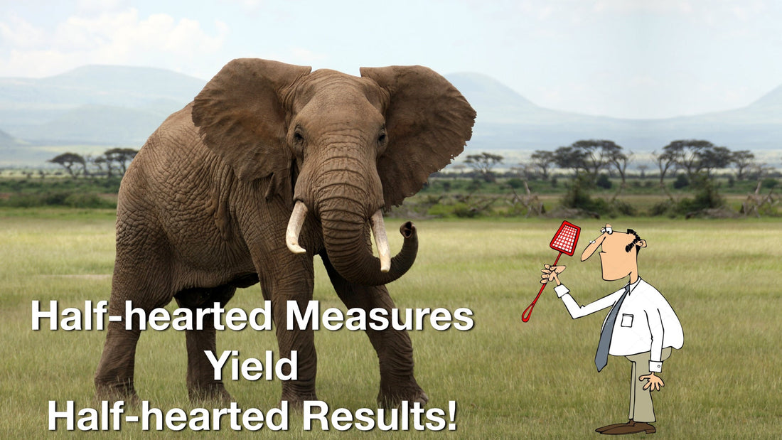 Half-hearted Measures Yield Half-hearted Results