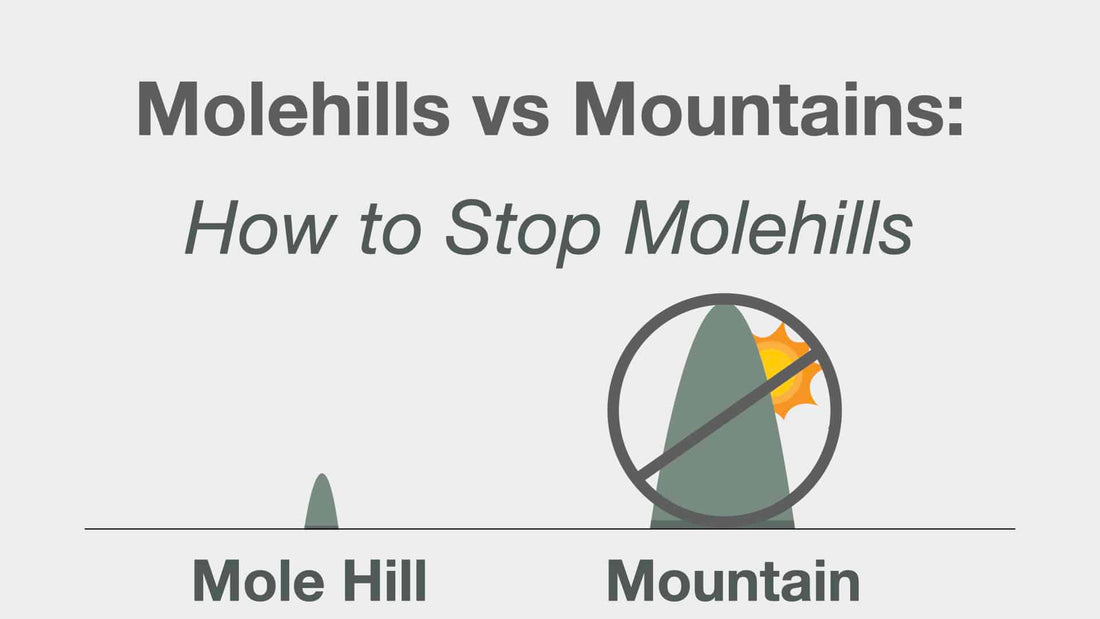 Molehills vs Mountains: How To Stop Molehills