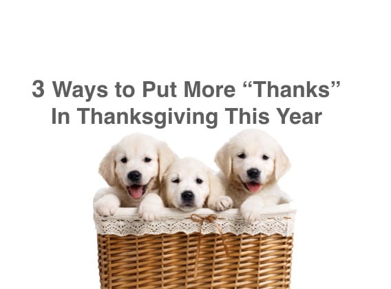 3 Ways to Put More “Thanks” in Thanksgiving This Year