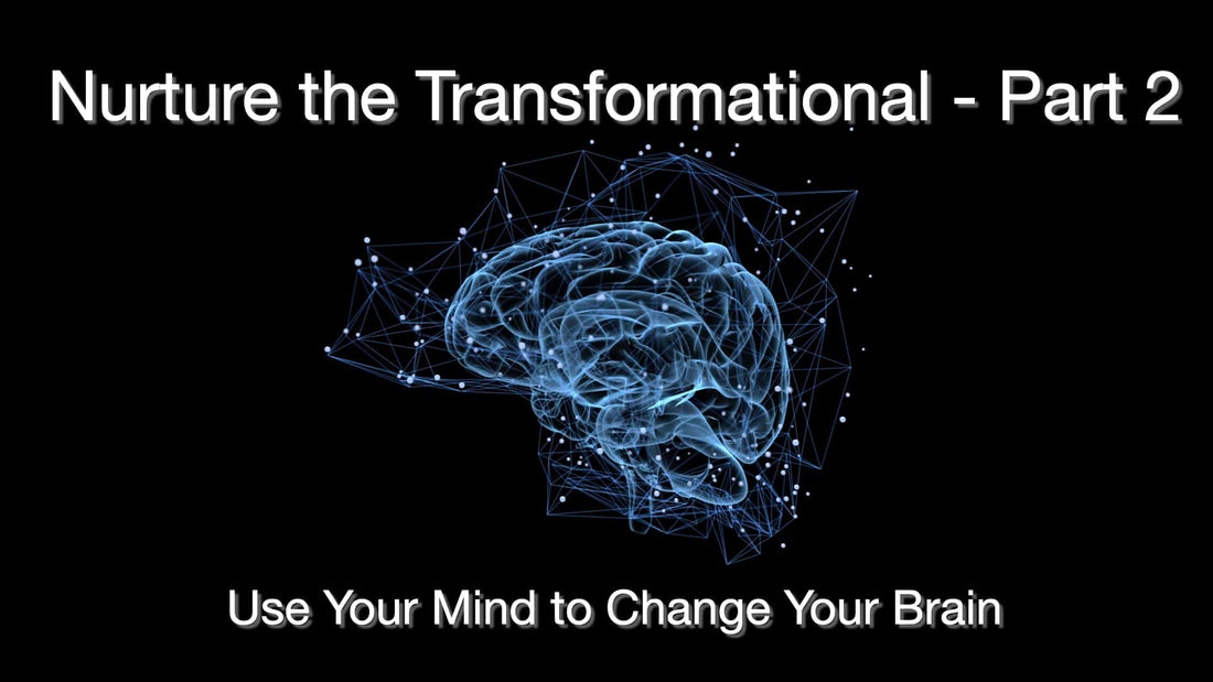 Nurture the Transformational - Part 2