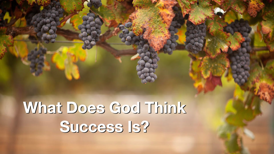 What Does God Think Success Is?