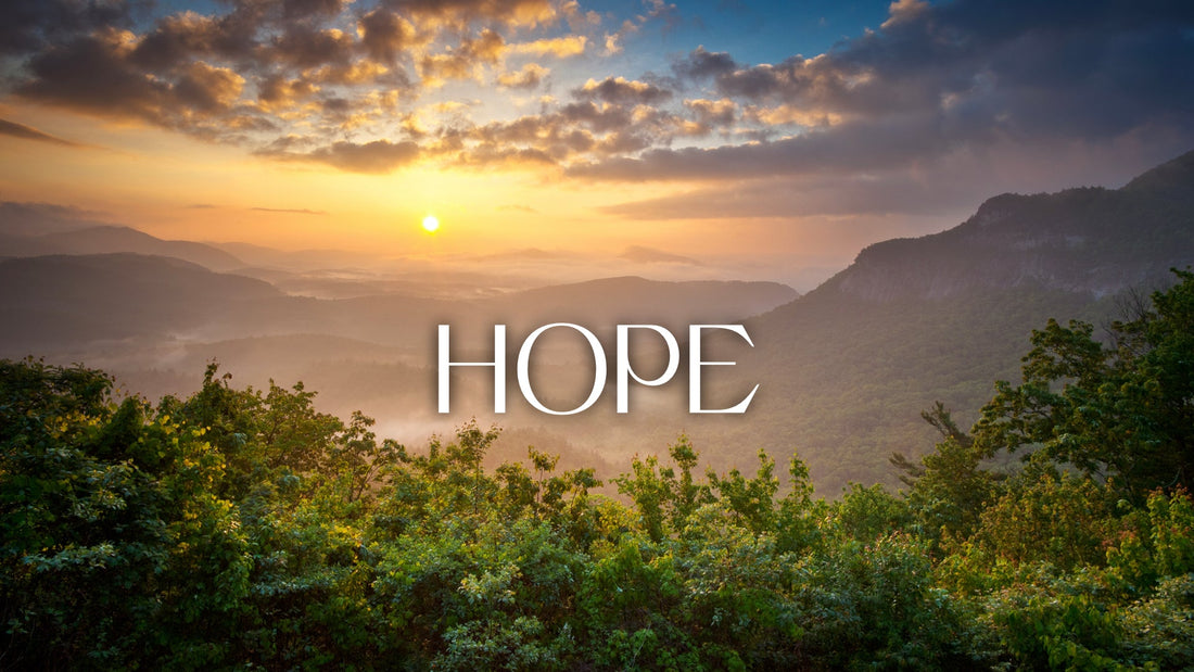 Let's Cultivate Hope This New Year