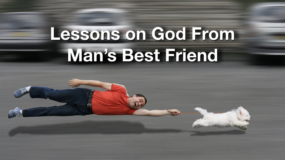 Lessons on God from Man’s Best Friend