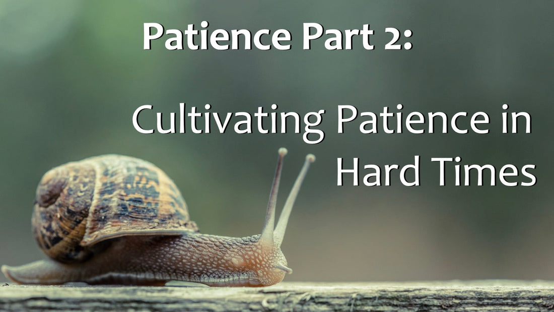 Patience Part 2: Cultivating Patience in Hard Times