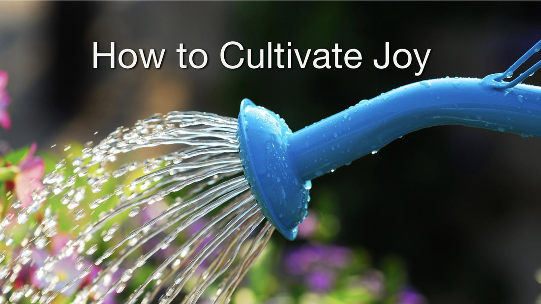 How to Cultivate Joy