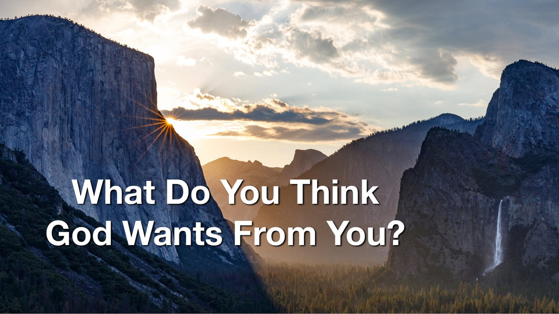 What Do You Think God Wants From You?