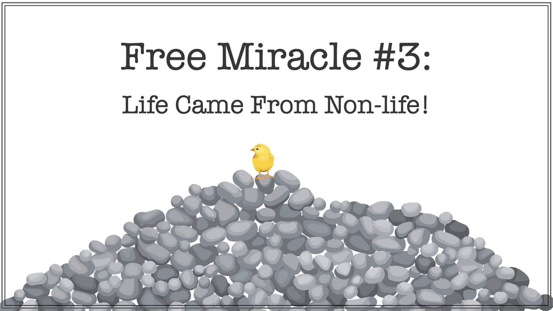 Free Miracle #3: Life Came From Non-life