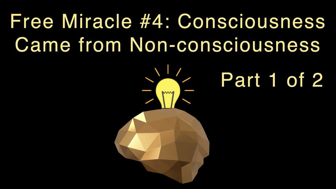 Free Miracle #4: Consciousness Came from Non-consciousness Part 1 of 2