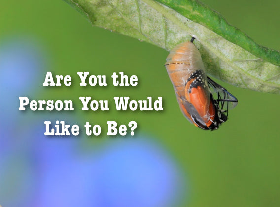 Are You the Person You Would Like to Be?