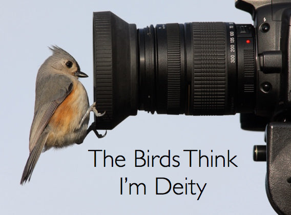 The Birds Think I’m Deity!