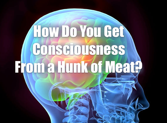 How Do You Get Consciousness From a Hunk of Meat?