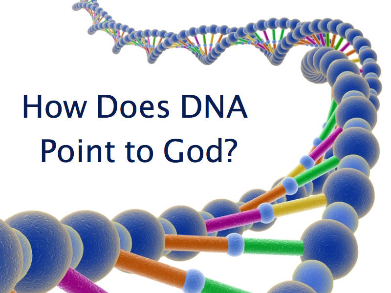 How Does DNA Point to God?