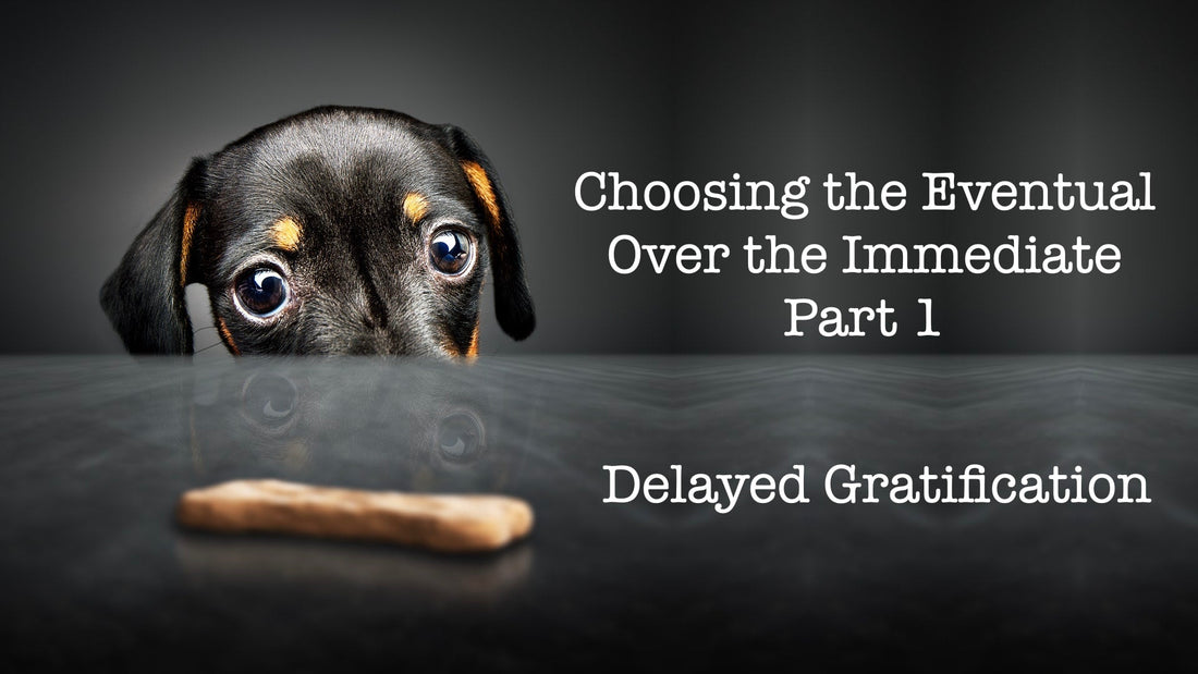 Choosing the Eventual Over the Immediate - Part 1