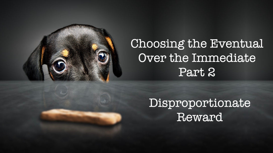 Choosing the Eventual Over the Immediate - Part 2