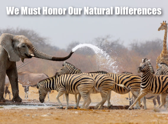 We Must Honor Our Natural Differences