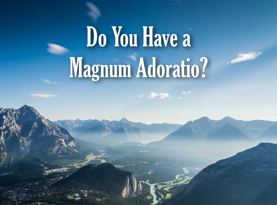 Do You Have A Magnum Adoratio?