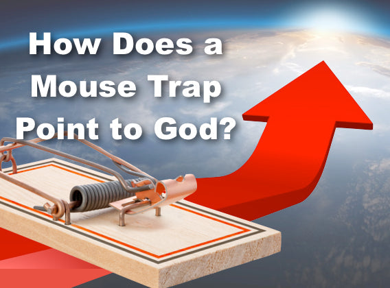 How Does a Mouse Trap Point to God?