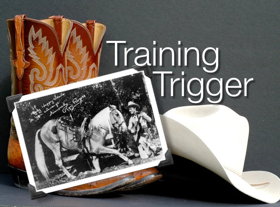 Training Trigger